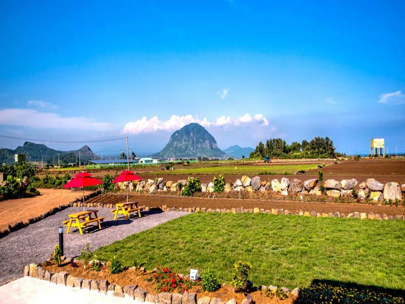 Boreum Holiday home Seogwipo