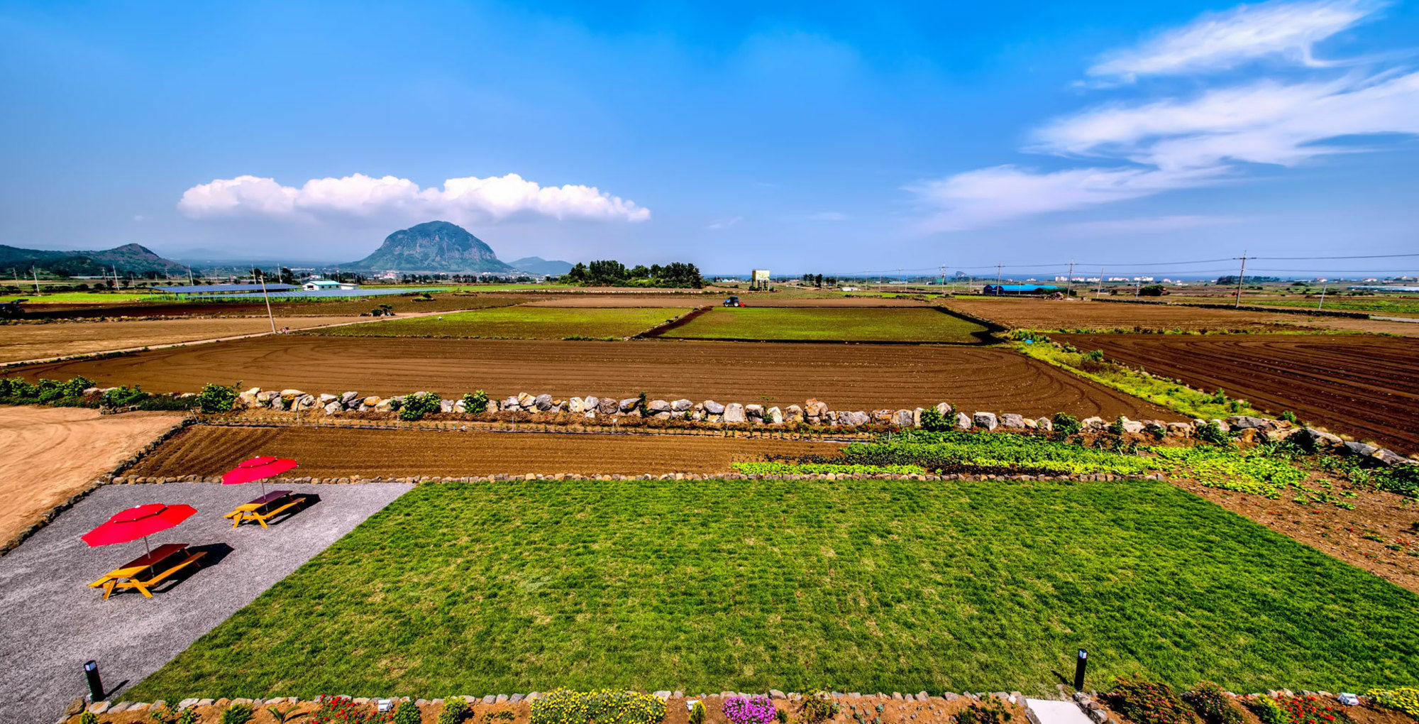 Boreum Holiday home Seogwipo